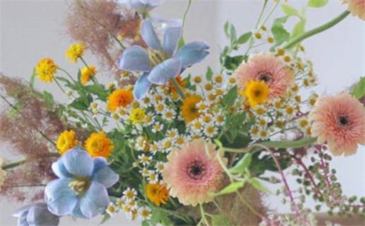 2024年12月31日领证好不好 今日领证结婚好不好