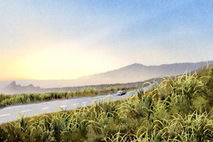 2025年12月08日提车黄道吉日 宜提车买车吉日查询 2025年12月08日提车黄道吉日 宜提车买车吉日查询