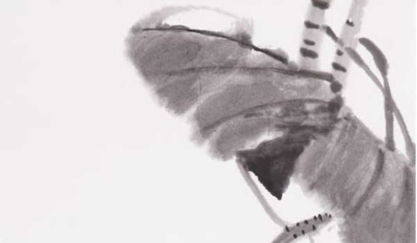 2022-03-11_142050 2022-03-11_142050