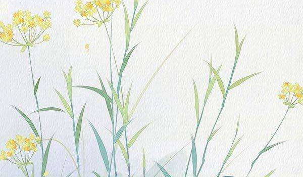 1663399844517438.jpg 2020-04-28_200316.jpg