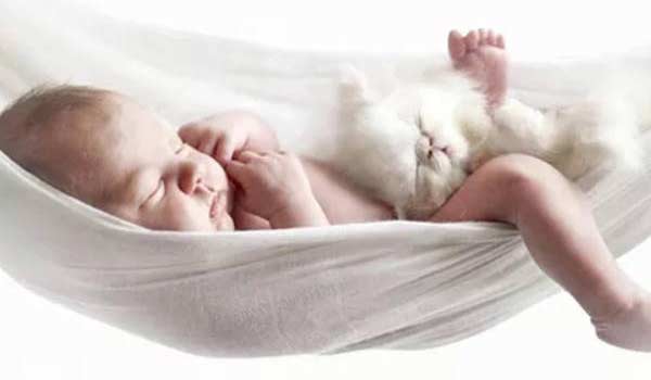 唐姓女孩取名大全2024龙年 唐姓有涵养的名字女孩 唐姓女孩取名大全2024龙年 唐姓有涵养的名字女孩