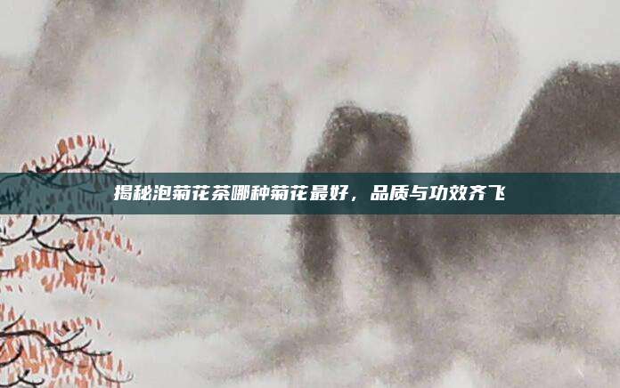 揭秘泡菊花茶哪种菊花最好，品质与功效齐飞