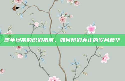 陈年绿茶的识别指南，如何辨别真正的岁月精华