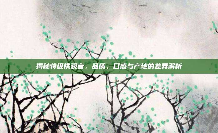 揭秘特级铁观音,品质、口感与产地的差异解析
