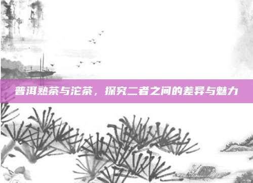 普洱熟茶与沱茶,探究二者之间的差异与魅力
