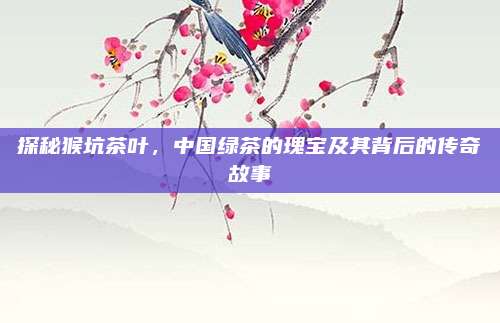 探秘猴坑茶叶,中国绿茶的瑰宝及其背后的传奇故事