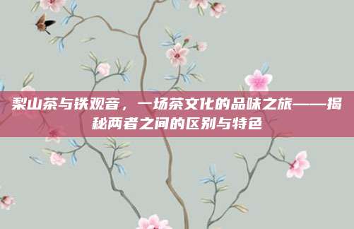 梨山茶与铁观音，一场茶文化的品味之旅——揭秘两者之间的区别与特色