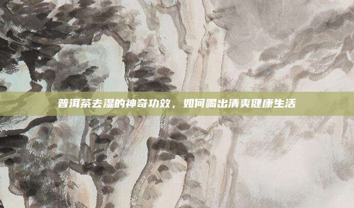普洱茶去湿的神奇功效，如何喝出清爽健康生活