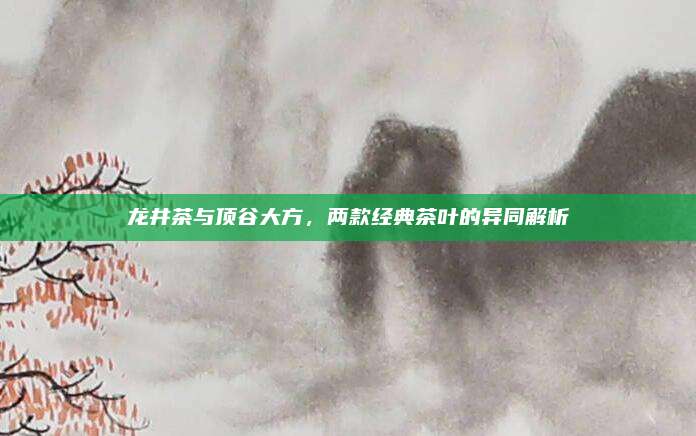 龙井茶与顶谷大方,两款经典茶叶的异同解析