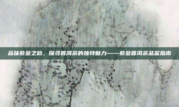 品味紫金之韵，探寻普洱茶的独特魅力——紫金普洱茶品鉴指南
