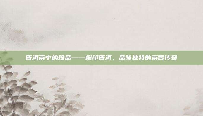 普洱茶中的珍品——橙印普洱,品味独特的茶香传奇