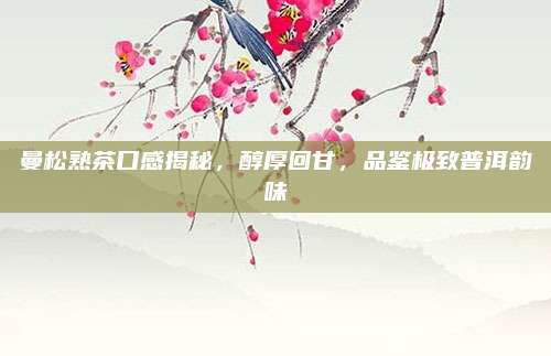 曼松熟茶口感揭秘,醇厚回甘,品鉴极致普洱韵味