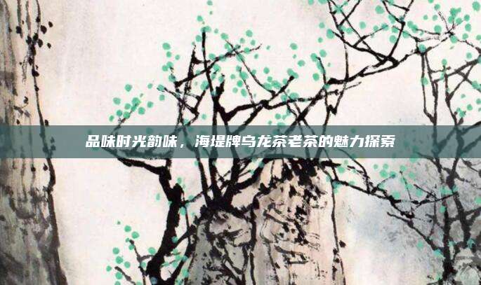 品味时光韵味,海堤牌乌龙茶老茶的魅力探索