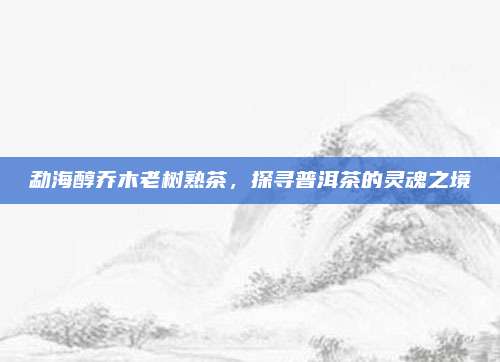 勐海醇乔木老树熟茶,探寻普洱茶的灵魂之境