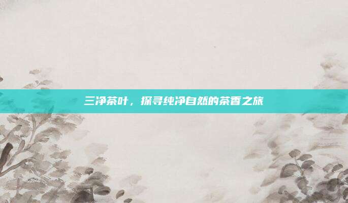 三净茶叶,探寻纯净自然的茶香之旅