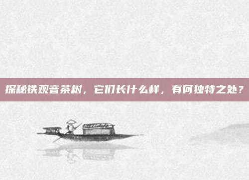 探秘铁观音茶树,它们长什么样,有何独特之处?