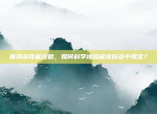 普洱茶收藏攻略，如何科学地珍藏这份茶中瑰宝？