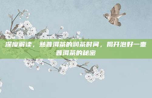 深度解读,熟普洱茶的润茶时间,揭开泡好一壶普洱茶的秘密