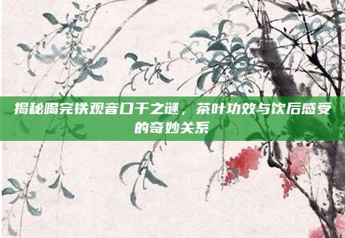 揭秘喝完铁观音口干之谜,茶叶功效与饮后感受的奇妙关系