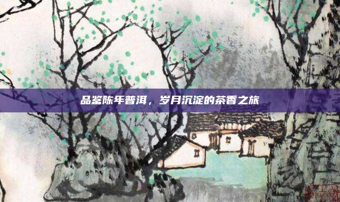品鉴陈年普洱,岁月沉淀的茶香之旅