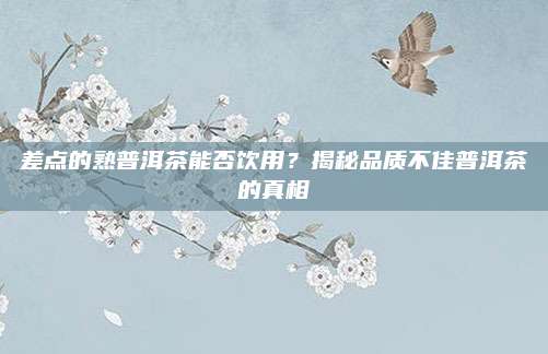 差点的熟普洱茶能否饮用？揭秘品质不佳普洱茶的真相