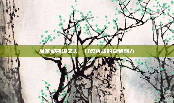 品鉴熟普洱之美,口感香味的独特魅力