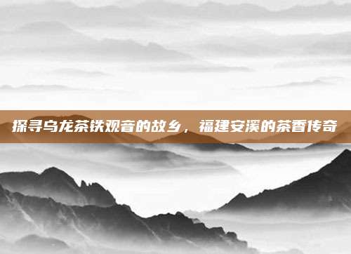 探寻乌龙茶铁观音的故乡,福建安溪的茶香传奇