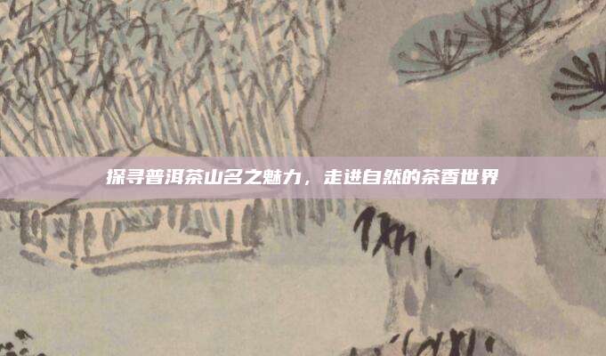 探寻普洱茶山名之魅力,走进自然的茶香世界