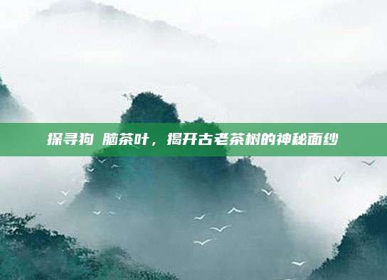 探寻狗狜脑茶叶,揭开古老茶树的神秘面纱