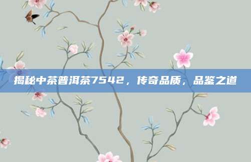 揭秘中茶普洱茶7542,传奇品质,品鉴之道