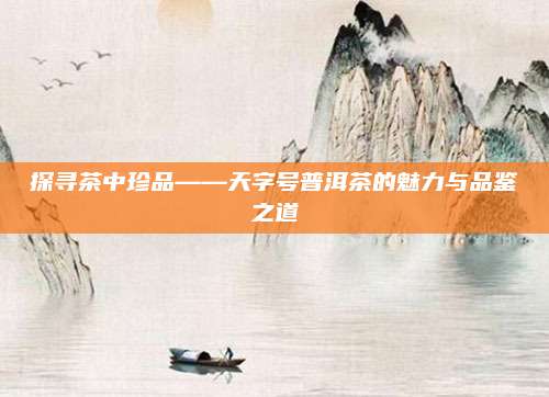 探寻茶中珍品——天字号普洱茶的魅力与品鉴之道