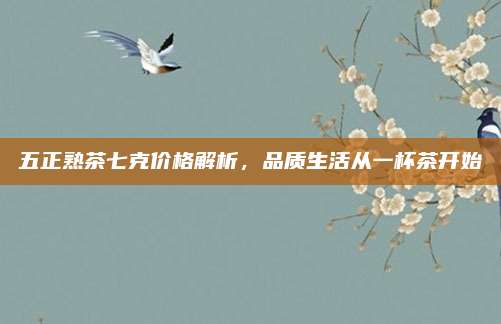 五正熟茶七克价格解析，品质生活从一杯茶开始