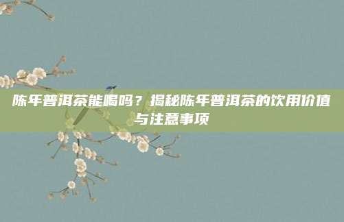 陈年普洱茶能喝吗?揭秘陈年普洱茶的饮用价值与注意事项