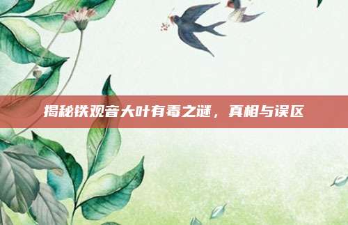 揭秘铁观音大叶有毒之谜,真相与误区