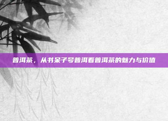 普洱茶,从书呆子号普洱看普洱茶的魅力与价值
