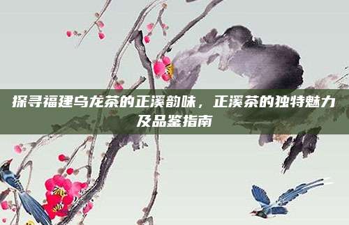 探寻福建乌龙茶的正溪韵味,正溪茶的独特魅力及品鉴指南