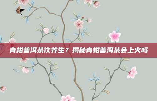 青柑普洱茶饮养生？揭秘青柑普洱茶会上火吗