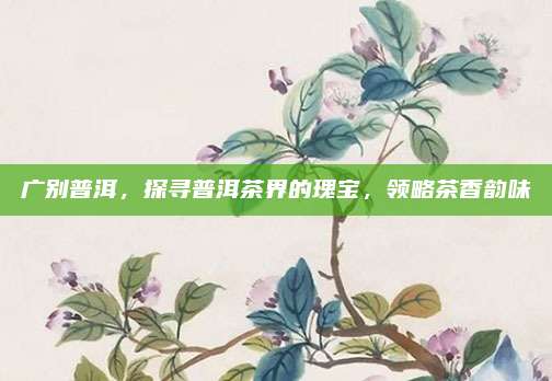 广别普洱，探寻普洱茶界的瑰宝，领略茶香韵味