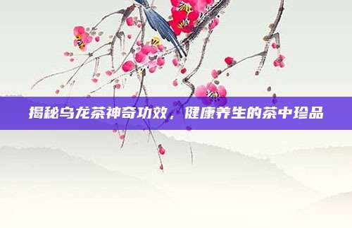 揭秘乌龙茶神奇功效，健康养生的茶中珍品