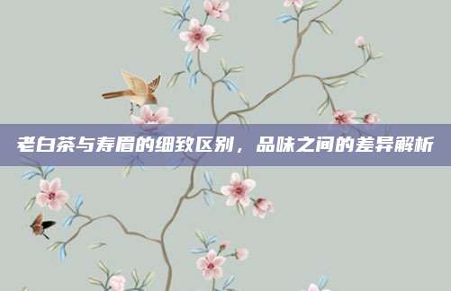 老白茶与寿眉的细致区别，品味之间的差异解析