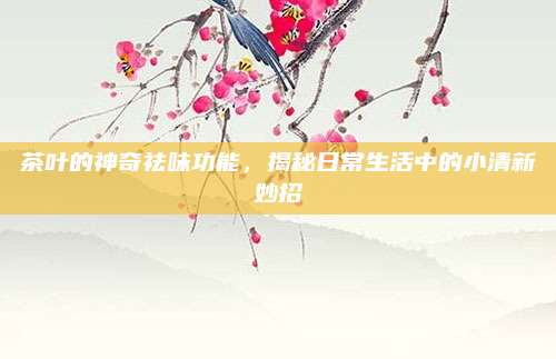 茶叶的神奇祛味功能,揭秘日常生活中的小清新妙招