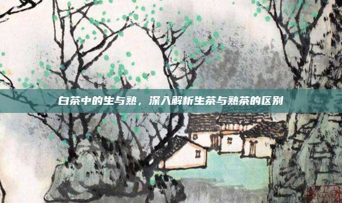 白茶中的生与熟，深入解析生茶与熟茶的区别