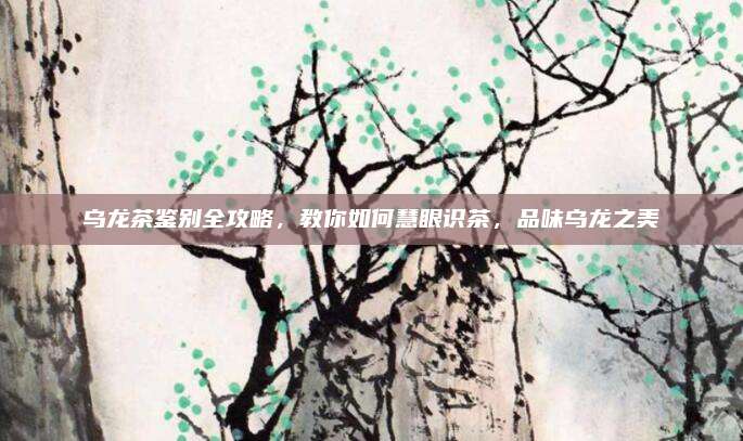 乌龙茶鉴别全攻略,教你如何慧眼识茶,品味乌龙之美