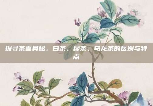 探寻茶香奥秘,白茶、绿茶、乌龙茶的区别与特点