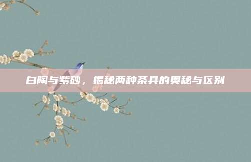 白陶与紫砂,揭秘两种茶具的奥秘与区别