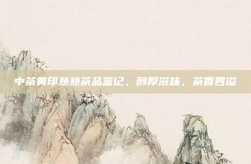 中茶黄印熟熟茶品鉴记,醇厚滋味,茶香四溢