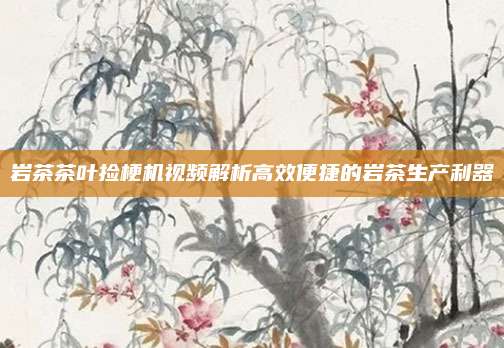 岩茶茶叶捡梗机视频解析高效便捷的岩茶生产利器