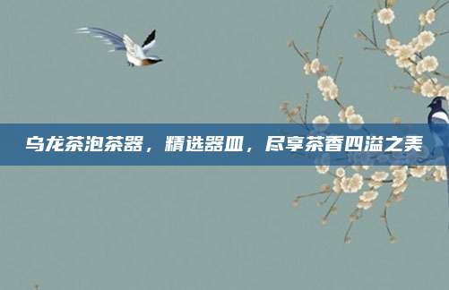 乌龙茶泡茶器,精选器皿,尽享茶香四溢之美