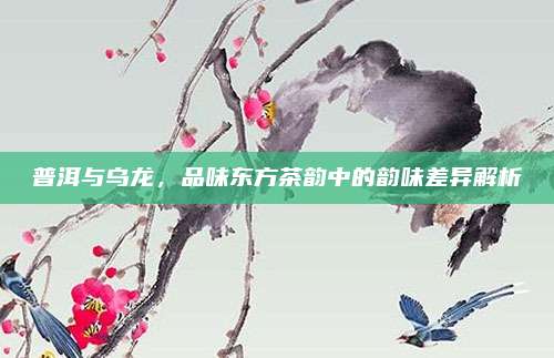 普洱与乌龙，品味东方茶韵中的韵味差异解析