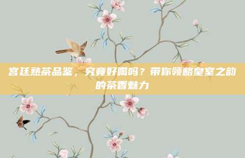宫廷熟茶品鉴,究竟好喝吗?带你领略皇室之韵的茶香魅力